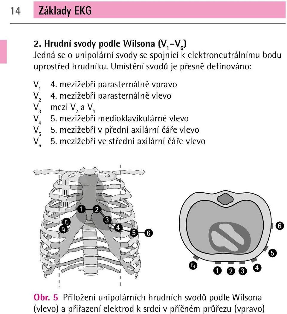 mezižebří medioklavikulárně vlevo V 5 5. mezižebří v přední axilární čáře vlevo 5.