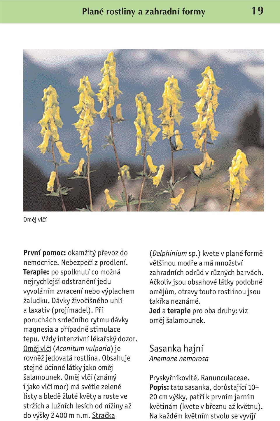 Při poruchách srdečního rytmu dávky magnesia a případně stimulace tepu. Vždy intenzivní lékařský dozor. Oměj vlčí (Aconitum vulparia) je rovněž jedovatá rostlina.