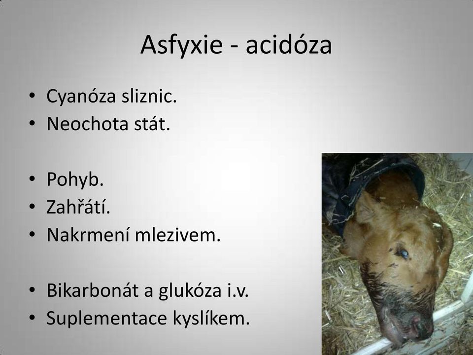 Asfyxie - acidóza Bikarbonát a