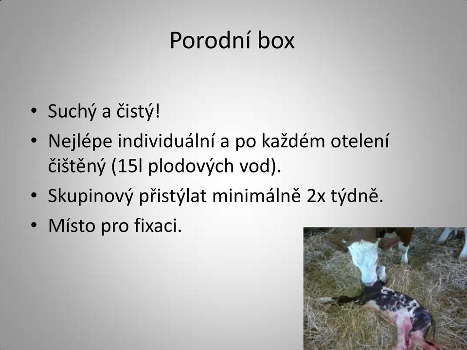 otelení čištěný (15l plodových vod).