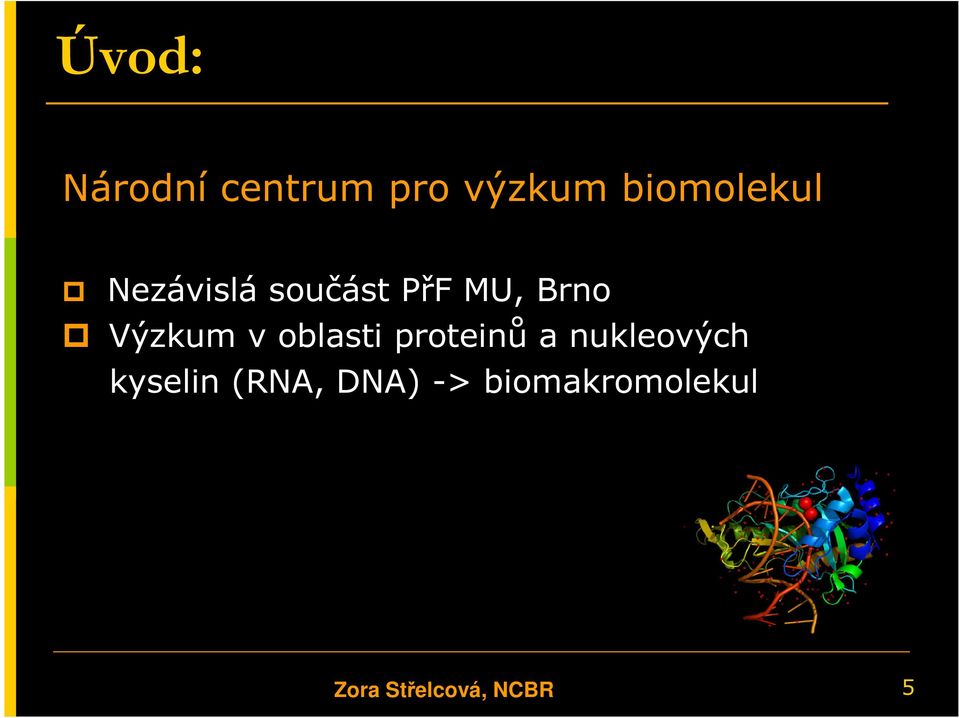 oblasti proteinů a nukleových kyselin (RNA,