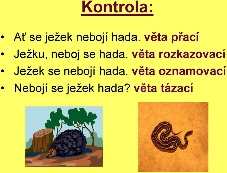 věta rozkazovací Ježek se nebojí hada.