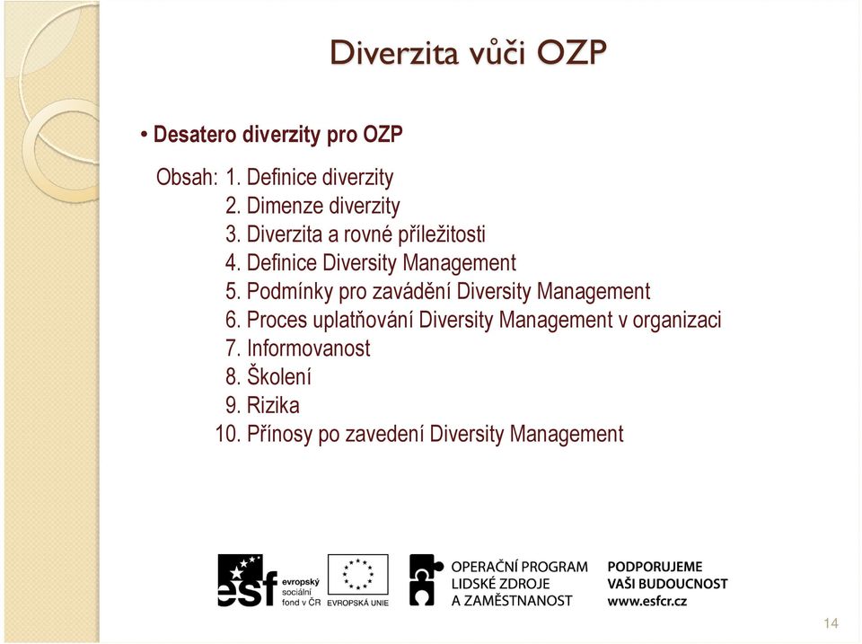 Podmínky pro zavádění Diversity Management 6.