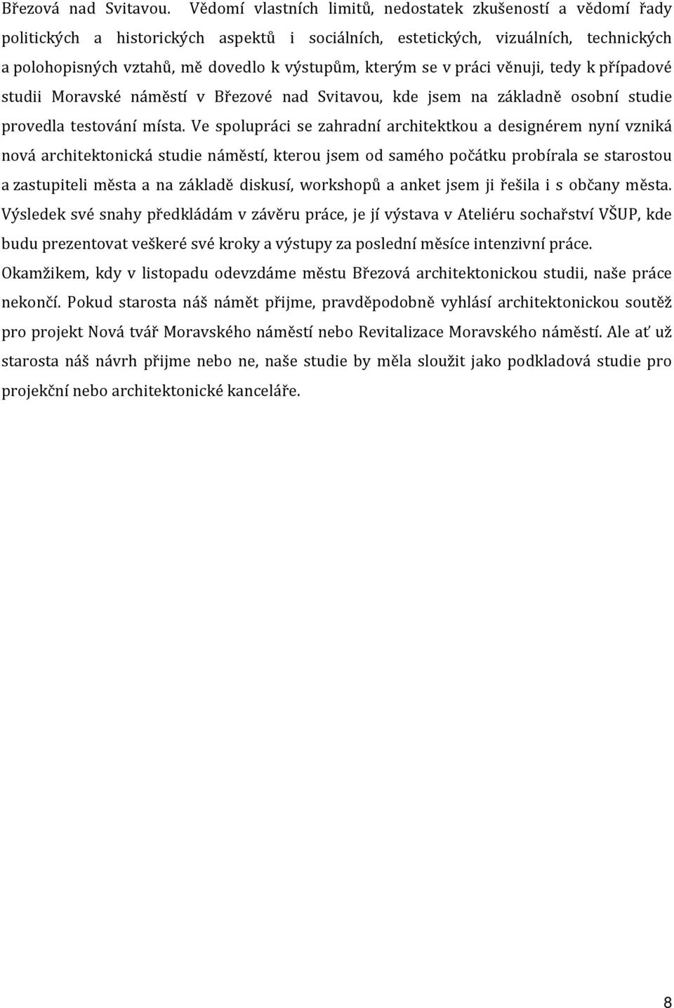 kterým se v práci věnuji, tedy k případové studii Moravské náměstí v Březové nad Svitavou, kde jsem na základně osobní studie provedla testování místa.