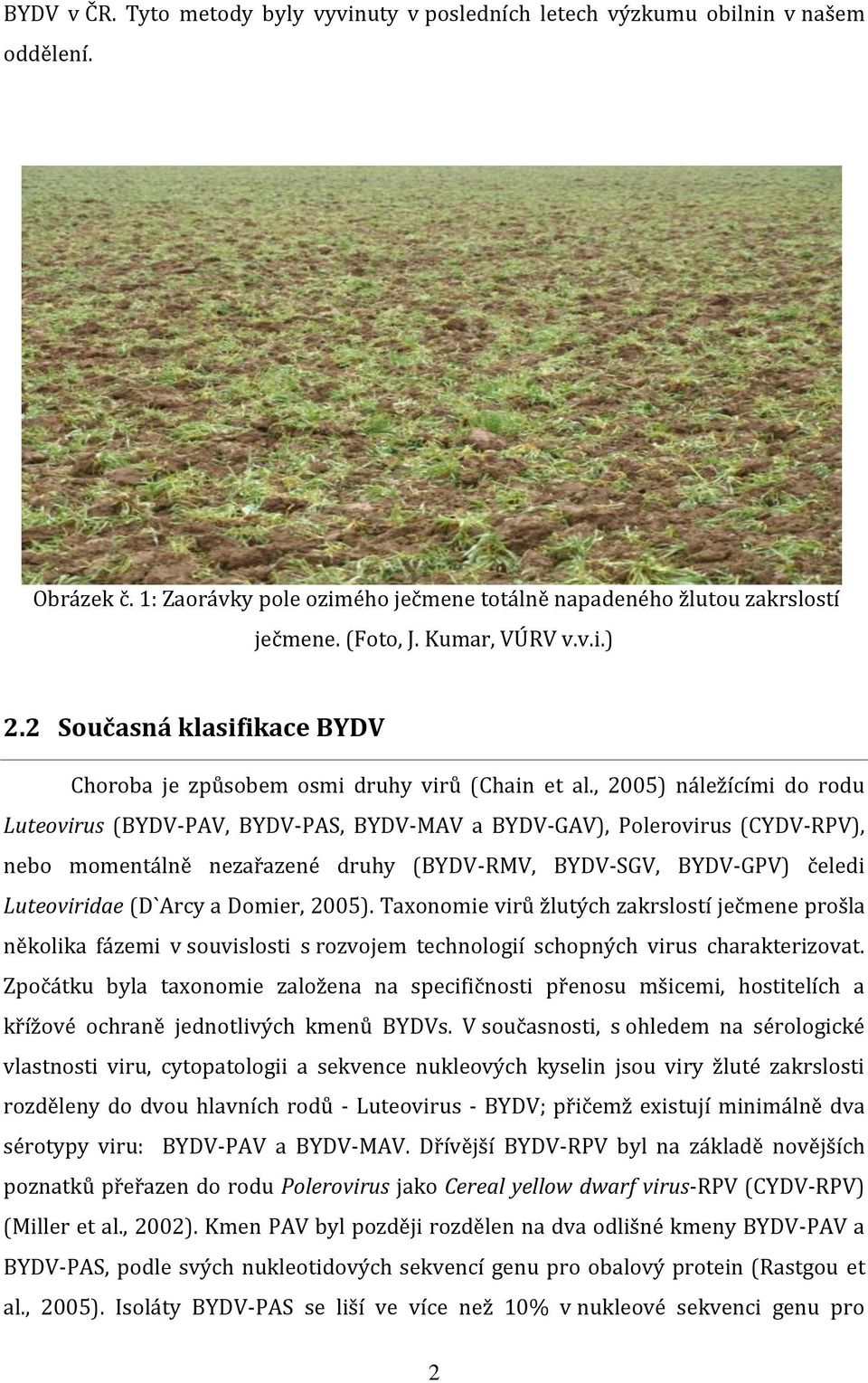 , 2005) náležícími do rodu Luteovirus (BYDV-PAV, BYDV-PAS, BYDV-MAV a BYDV-GAV), Polerovirus (CYDV-RPV), nebo momentálně nezařazené druhy (BYDV-RMV, BYDV-SGV, BYDV-GPV) čeledi Luteoviridae (D`Arcy a