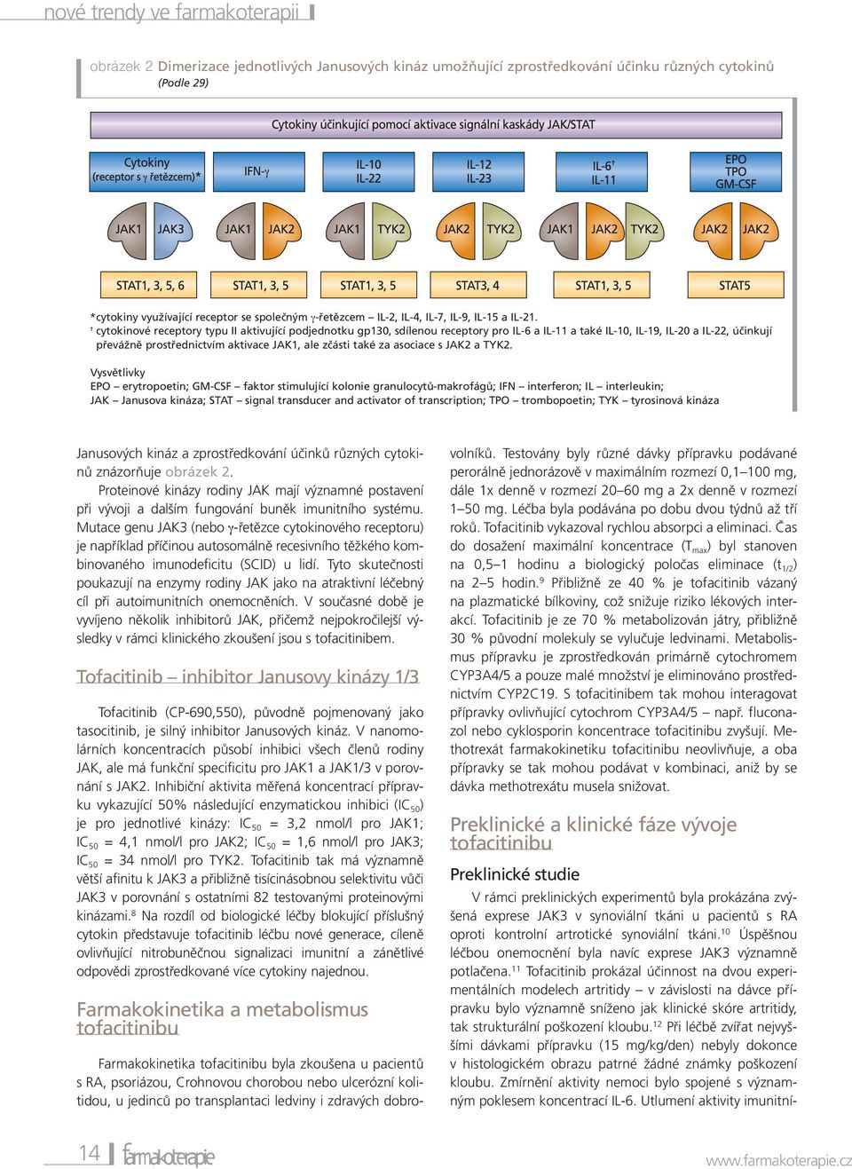 11 Tofacitinib prokázal účinnost na dvou experimentálních modelech artritidy v závislosti na dávce přípravku bylo významně sníženo jak klinické skóre artritidy, tak strukturální poškození kloubu.