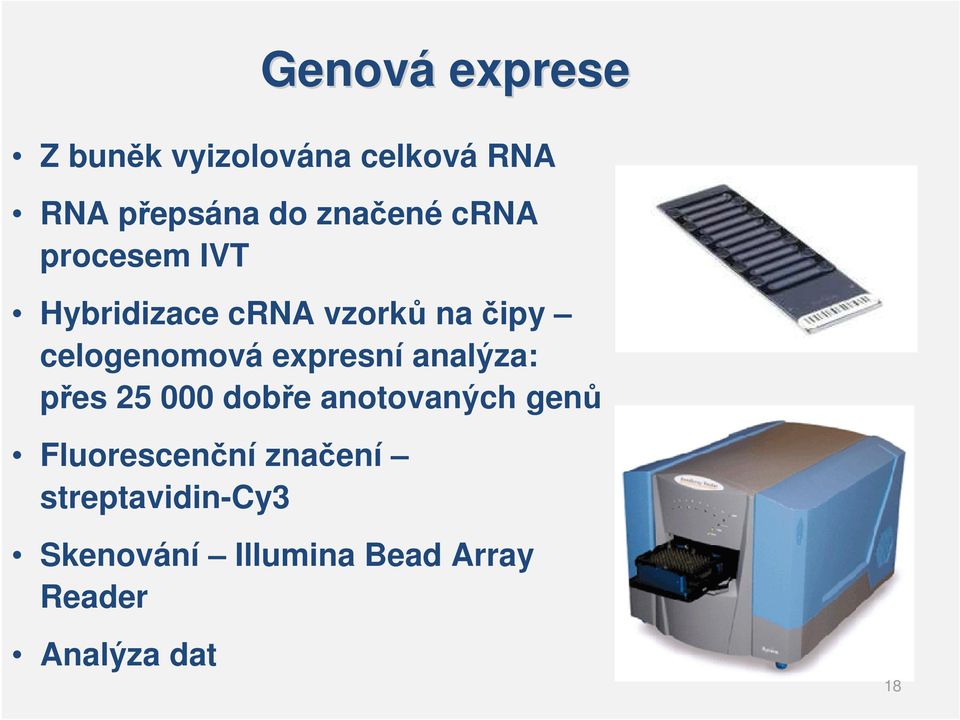 přes 25 000 dobře anotovaných genů Fluorescenční značení