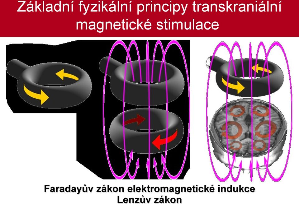 magnetické stimulace Faradayův
