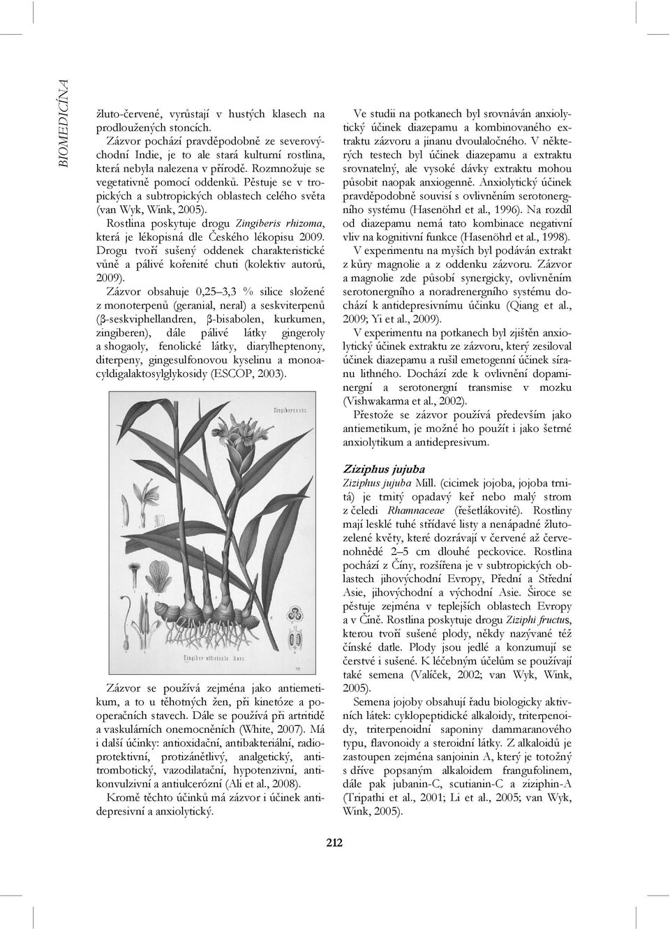 Pěstuje se v tropických a subtropických oblastech celého světa (van Wyk, Wink, 2005). Rostlina poskytuje drogu Zingiberis rhizoma, která je lékopisná dle Českého lékopisu 2009.