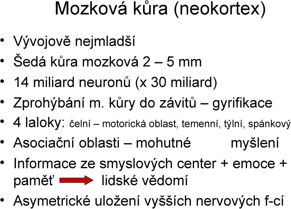 kůry do závitů gyrifikace 4 laloky: čelní motorická oblast, temenní, týlní, spánkový