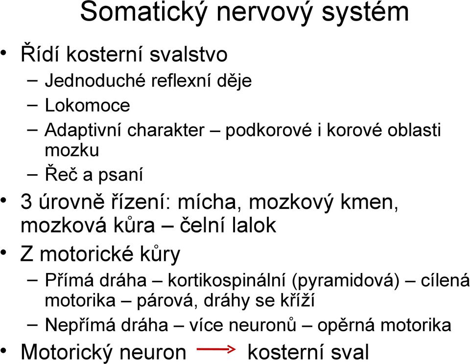 mozková kůra čelní lalok Z motorické kůry Přímá dráha kortikospinální (pyramidová) cílená