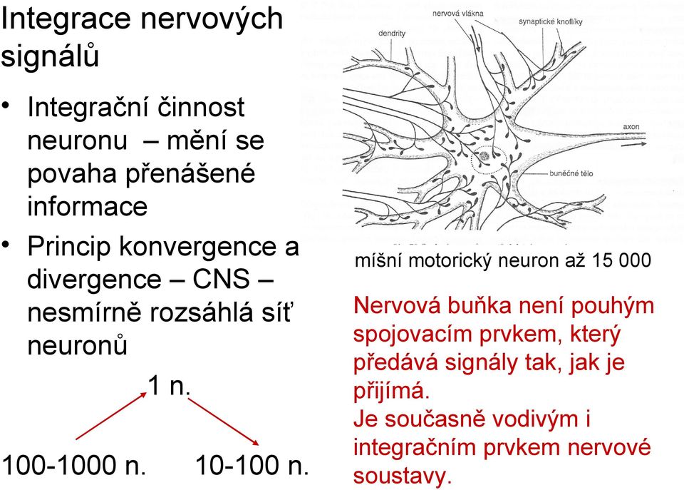 10-100 n.