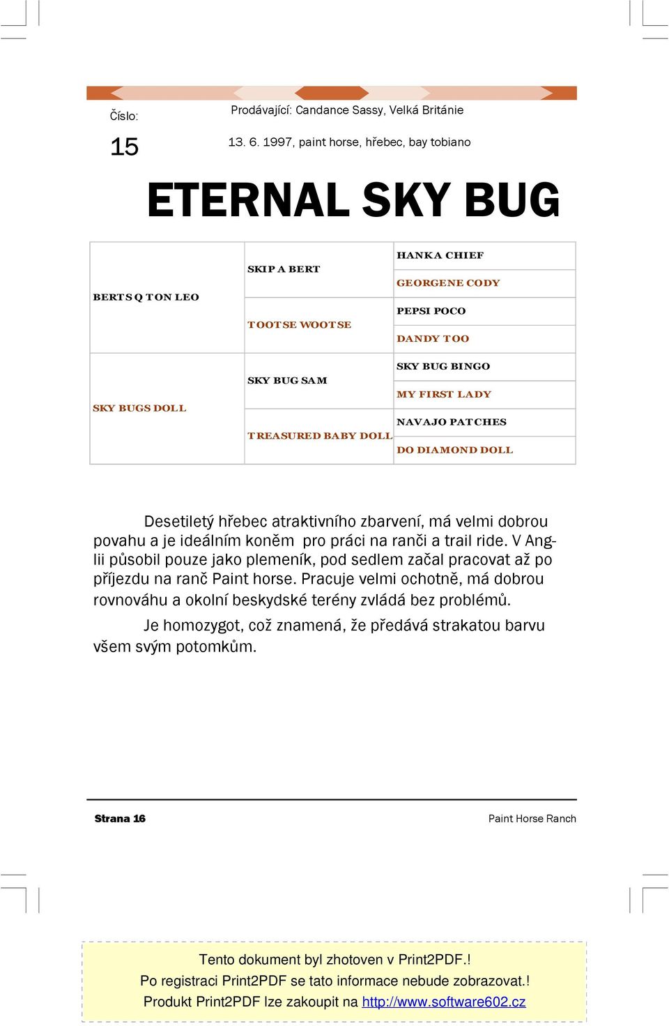 BINGO SKY BUG SAM MY FIRST LADY NAVAJO PAT CHES T REASURED BABY DOLL DO DIAMOND DOLL Desetiletý hřebec atraktivního zbarvení, má velmi dobrou povahu a je ideálním koněm pro