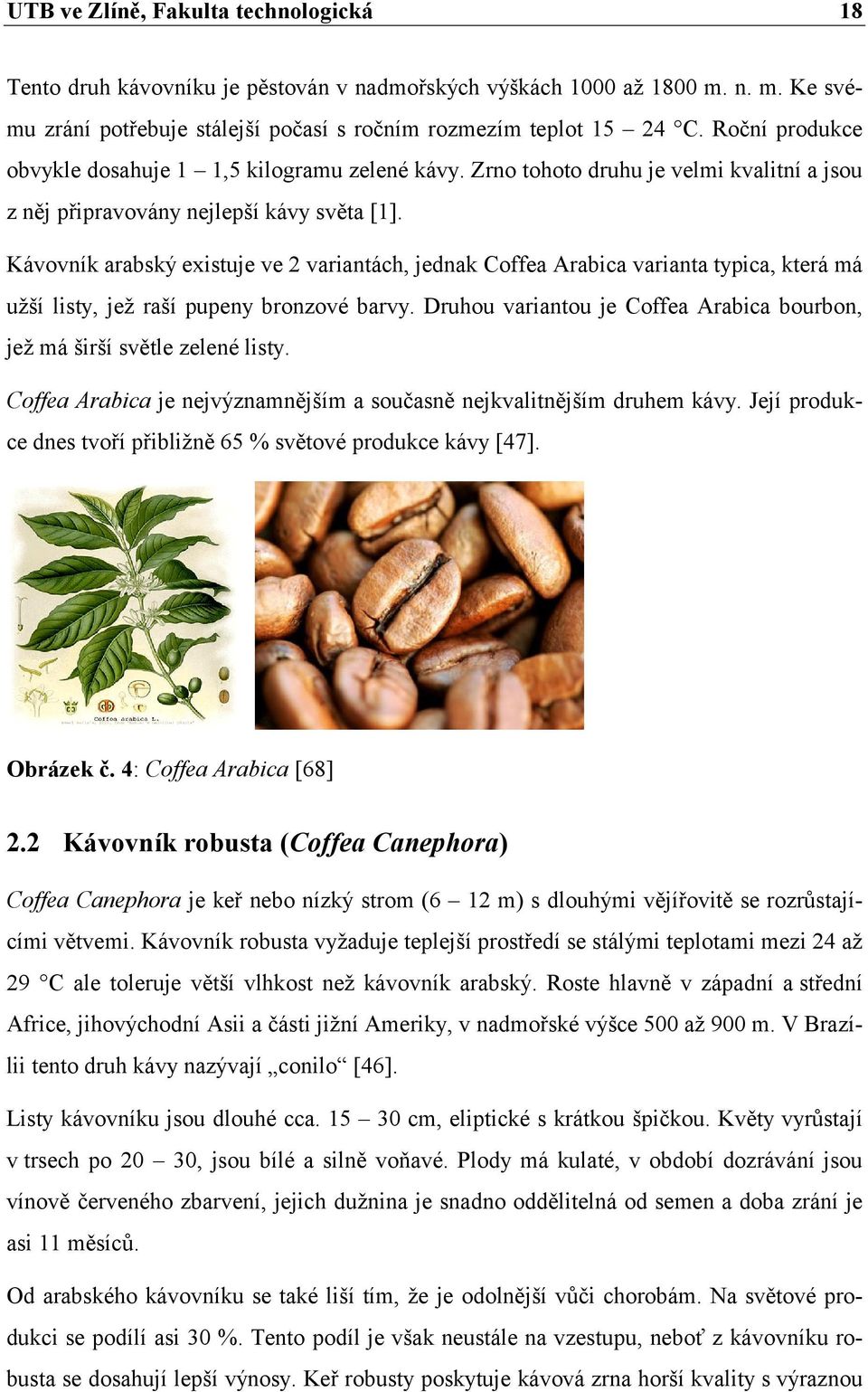 Kávovník arabský existuje ve 2 variantách, jednak Coffea Arabica varianta typica, která má užší listy, jež raší pupeny bronzové barvy.