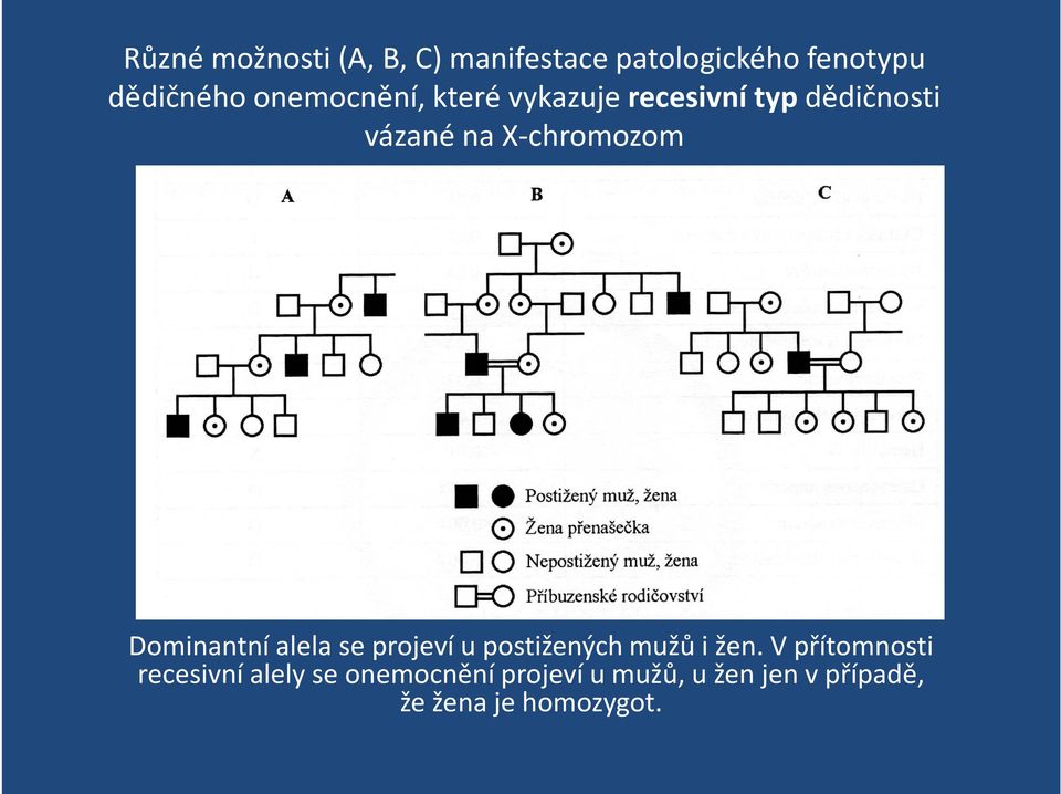 Dominantní alela se projeví u postižených mužů i žen.