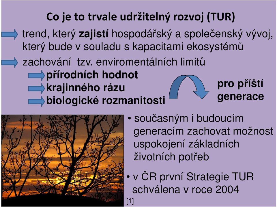 enviromentálních limitů přírodních hodnot krajinného rázu biologické rozmanitosti pro příští