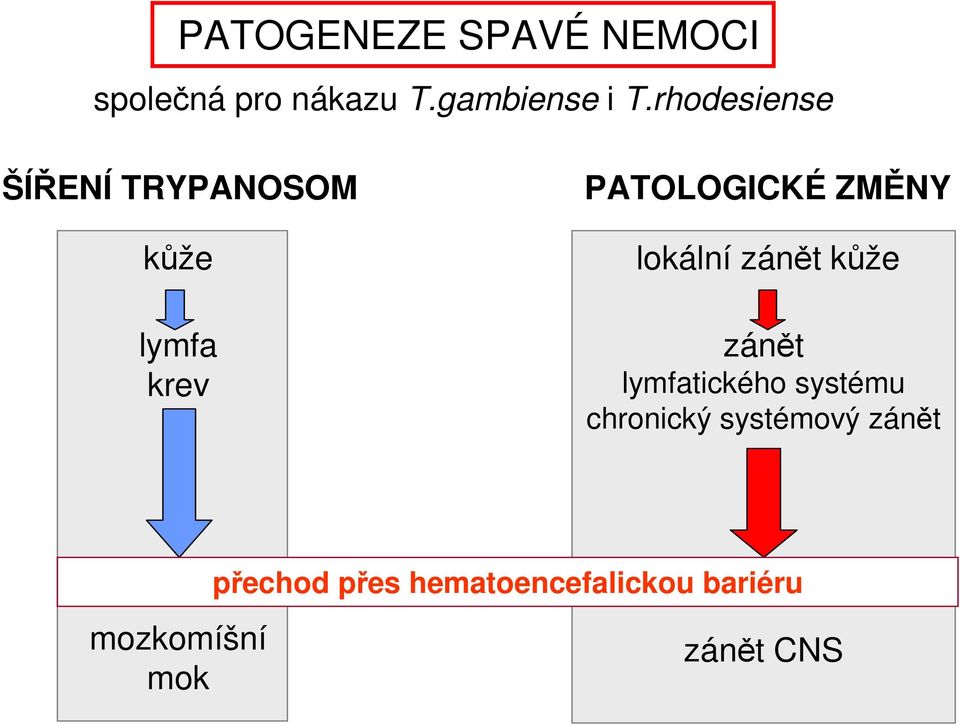 lokální zánět kůže zánět lymfatického systému chronický