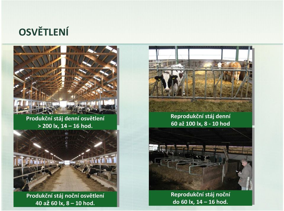 Reprodukční stáj denní 60 až100 lx, 8-10 hod