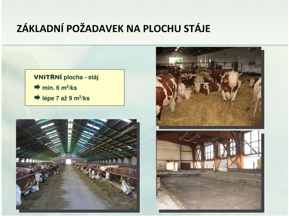 plocha - stáj min.
