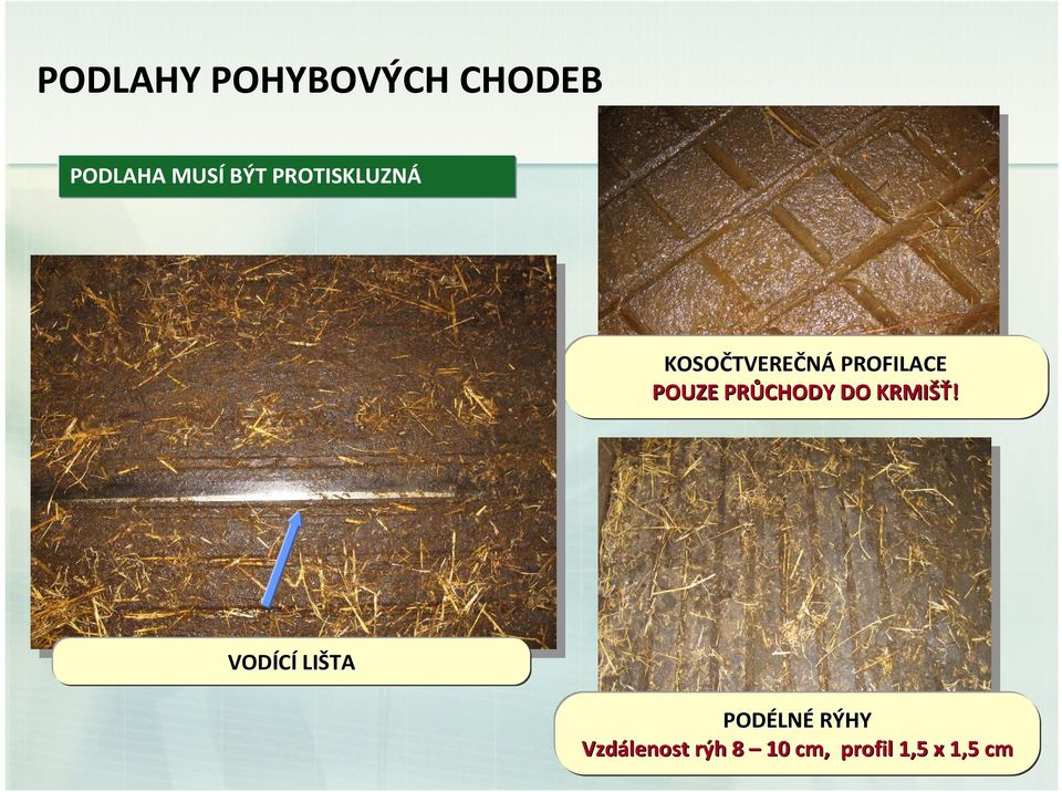 POUZE PRŮCHODY DO KRMIŠŤ!