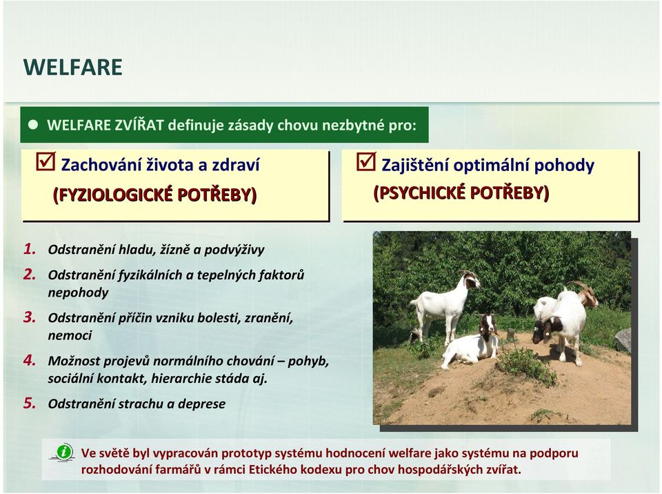 Odstraněnípříčin vzniku bolesti, zranění, nemoci 4. Možnost projevůnormálního chování pohyb, sociální kontakt, hierarchie stáda aj. 5.