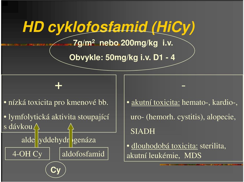 lymfolytická aktivita stoupající s dávkou aldehyddehydrogenáza 4-OH Cy Cy