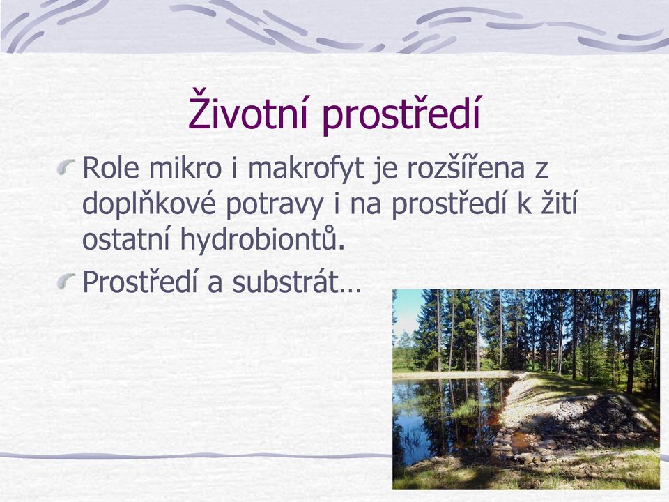 potravy i na prostředí k žití