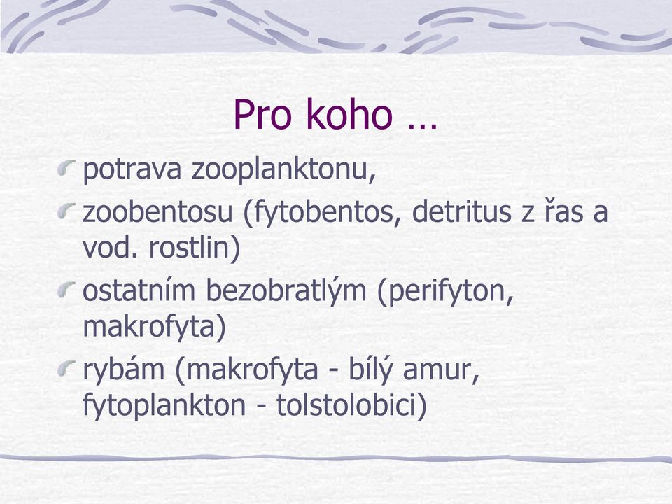 rostlin) ostatním bezobratlým (perifyton,