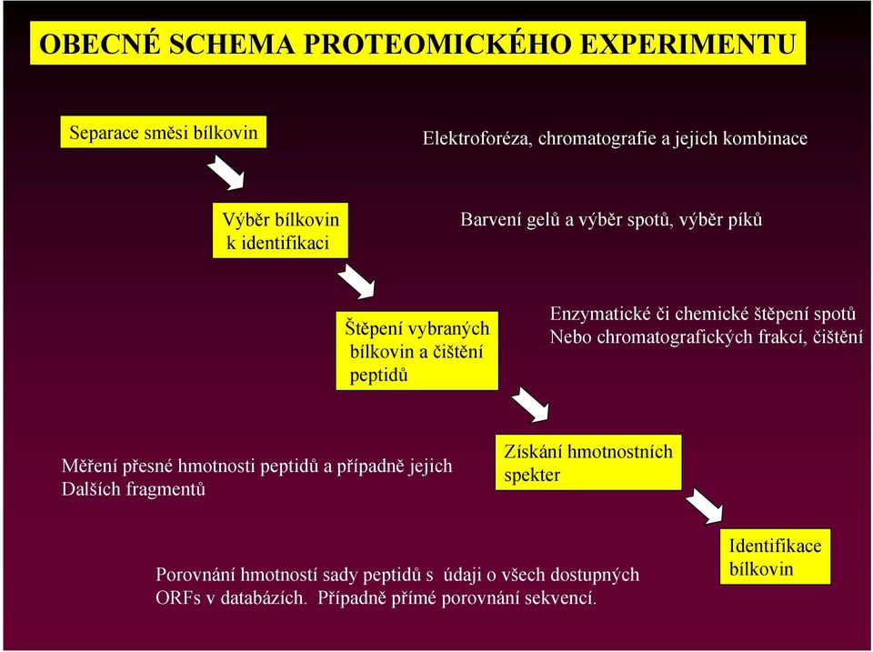 Nebo chromatografických frakcí, čištění Měření přesné hmotnosti peptidů a případně jejich Dalších fragmentů Získání hmotnostních