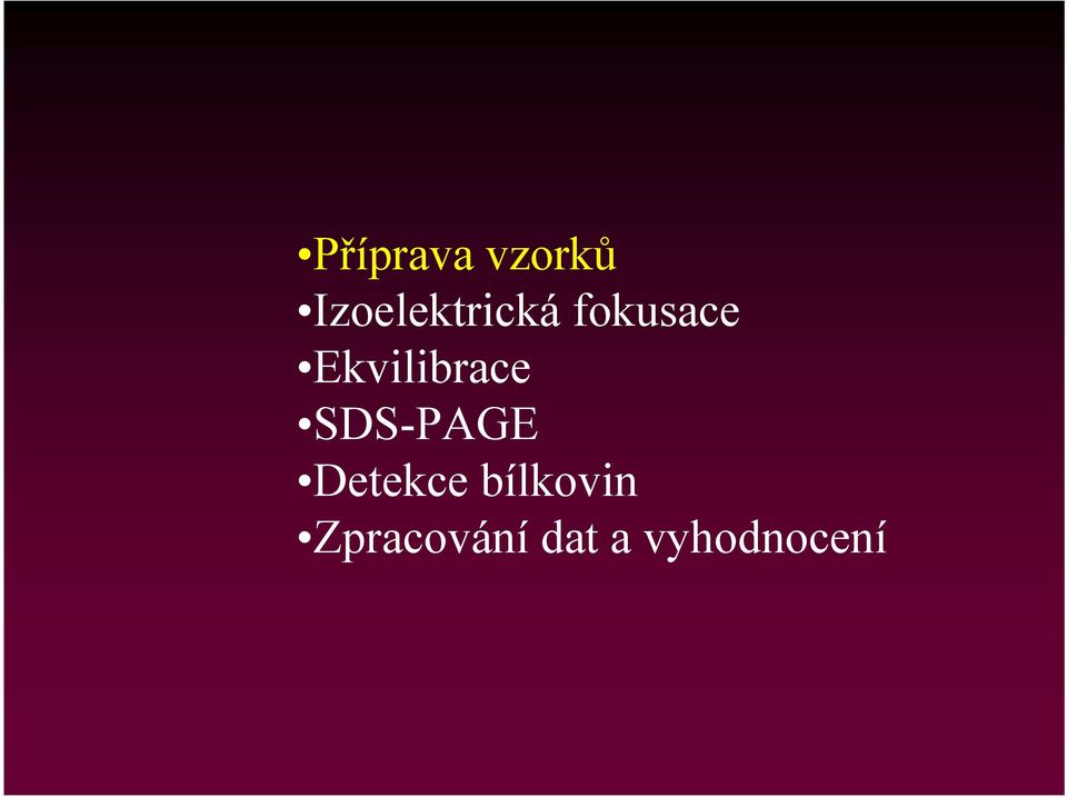 Ekvilibrace SDS-PAGE