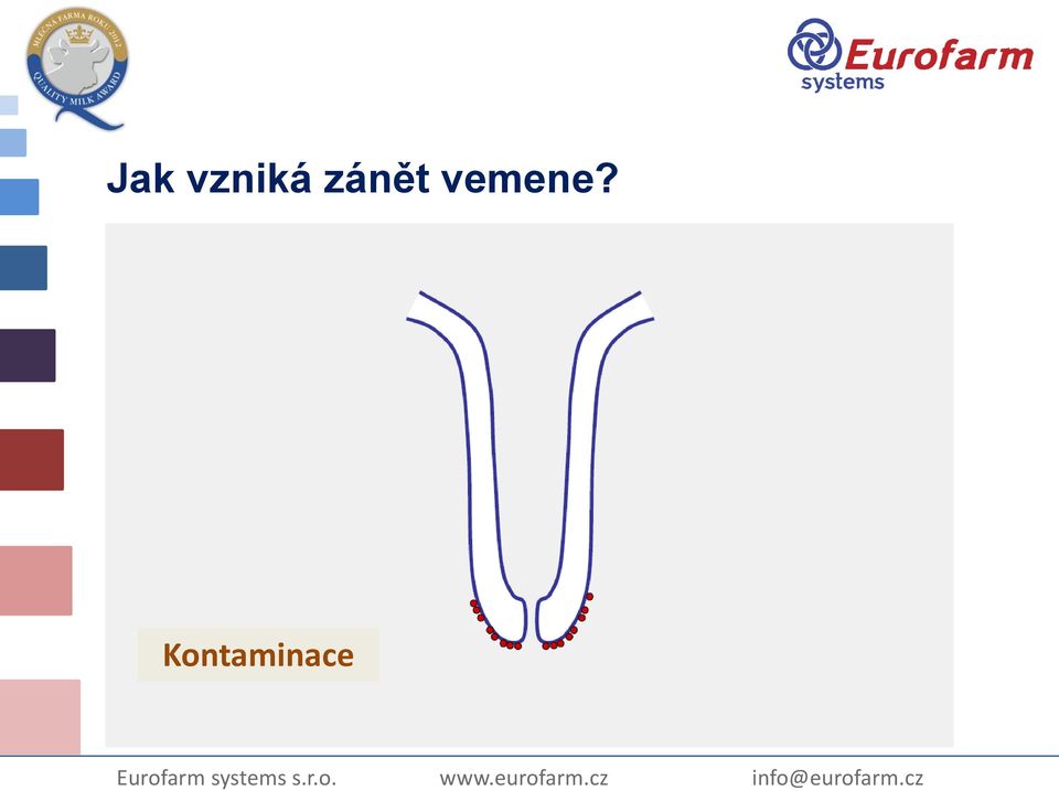 zánět