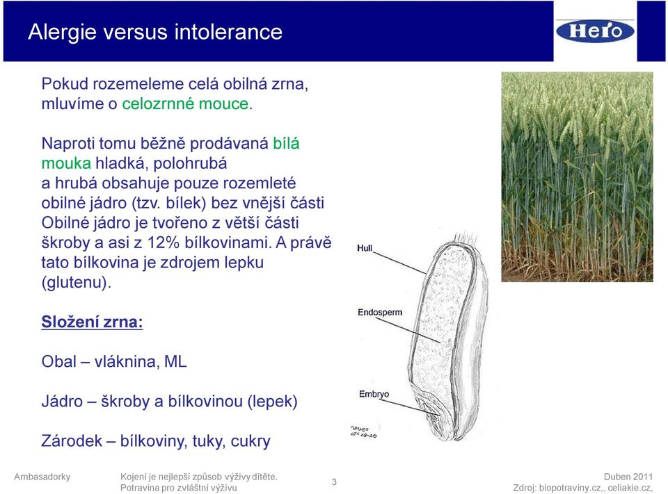 bílek) bez vnější části Obilné jádro je tvořeno z větší části škroby a asi z 12% bílkovinami.