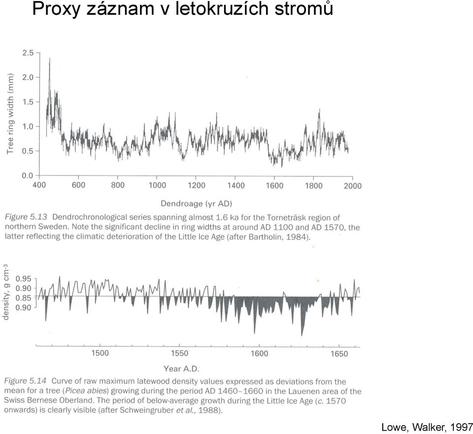 letokruzích