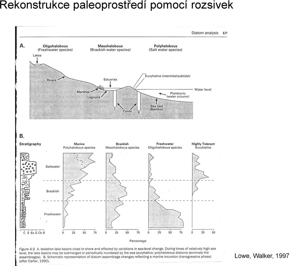 pomocí rozsivek