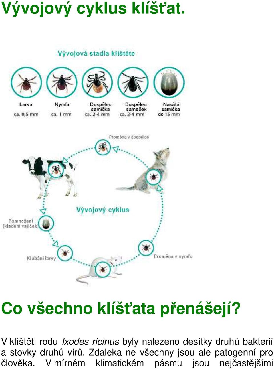 bakterií a stovky druhů virů.