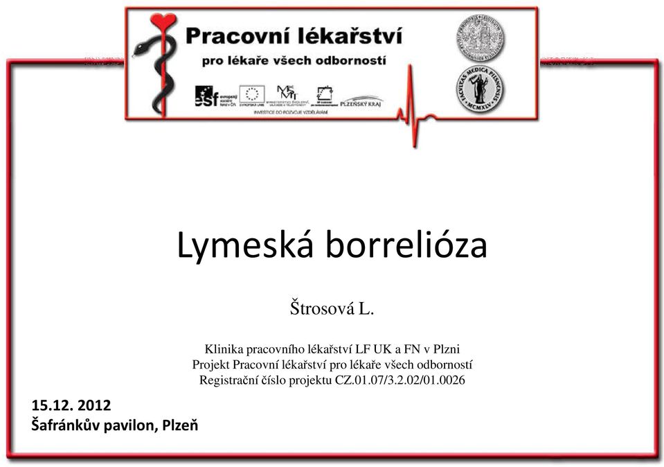 lékařství LF UK a FN v Plzni Projekt Pracovní lékařství