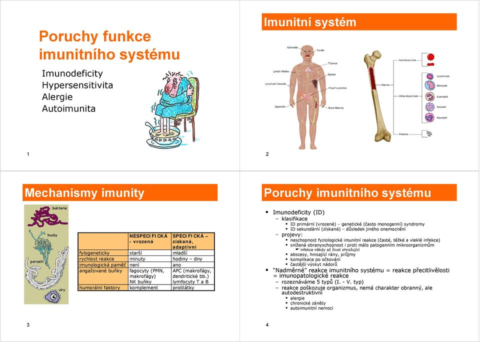 ) NK buňky lymfocyty T a B humorální faktory komplement protilátky Imunodeficity (ID) klasifikace ID primární (vrozené) genetické (často monogenní) syndromy ID sekundární (získané) důsledek jiného