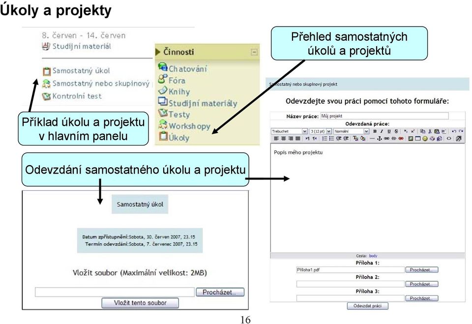 Příklad úkolu a projektu v hlavním