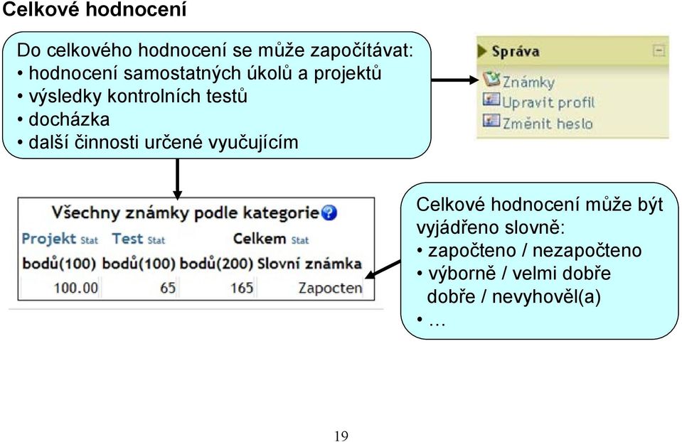 činnosti určené vyučujícím Celkové hodnocení může být vyjádřeno slovně: