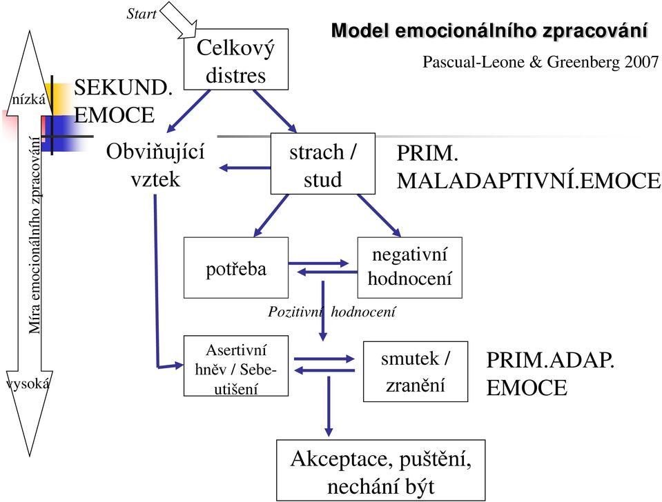 stud Model emocionálního zpracování Pozitivní hodnocení negativní hodnocení smutek /