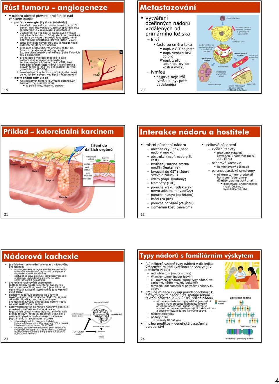 jiné vascular endothelial growth factor (VEGF) tento stimuluje novotvorbu cév (angiogeneze) nutných pro další růst nádoru produkce proteolytických enzymů nádor. bb.