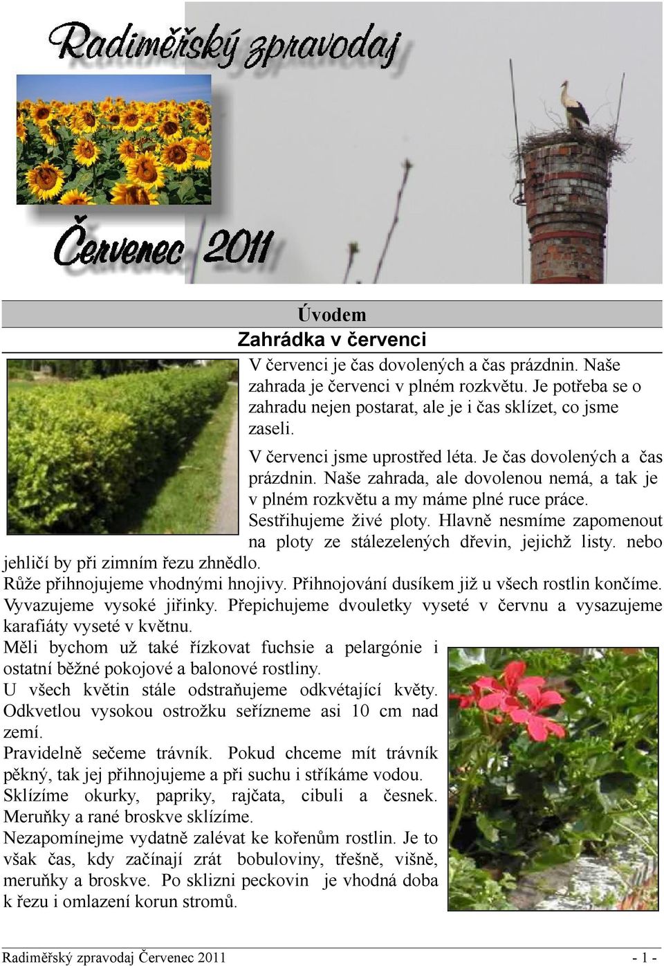 Hlavně nesmíme zapomenout na ploty ze stálezelených dřevin, jejichž listy. nebo jehličí by při zimním řezu zhnědlo. Růže přihnojujeme vhodnými hnojivy.