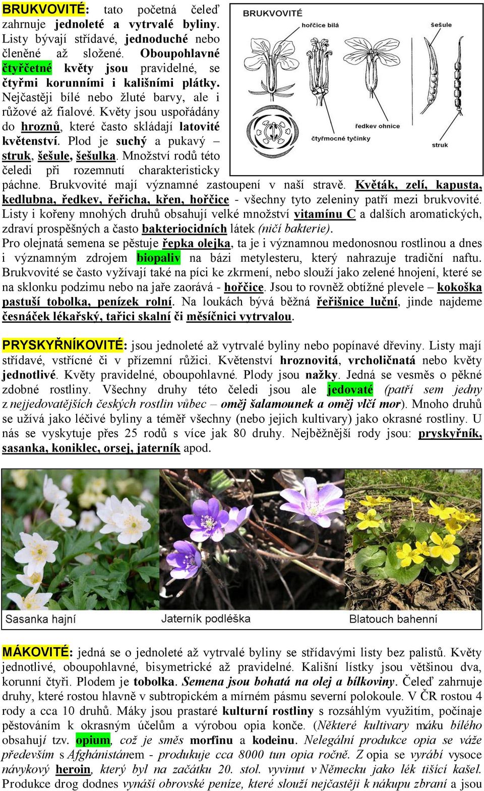 Květy jsou uspořádány do hroznů, které často skládají latovité květenství. Plod je suchý a pukavý struk, šešule, šešulka. Množství rodů této čeledi při rozemnutí charakteristicky páchne.