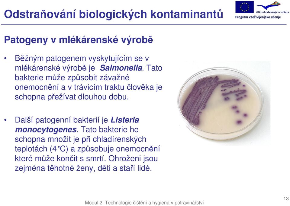 Tato bakterie může způsobit závažné onemocnění a v trávicím traktu člověka je schopna přežívat dlouhou dobu.