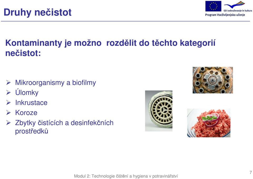 Mikroorganismy a biofilmy Úlomky