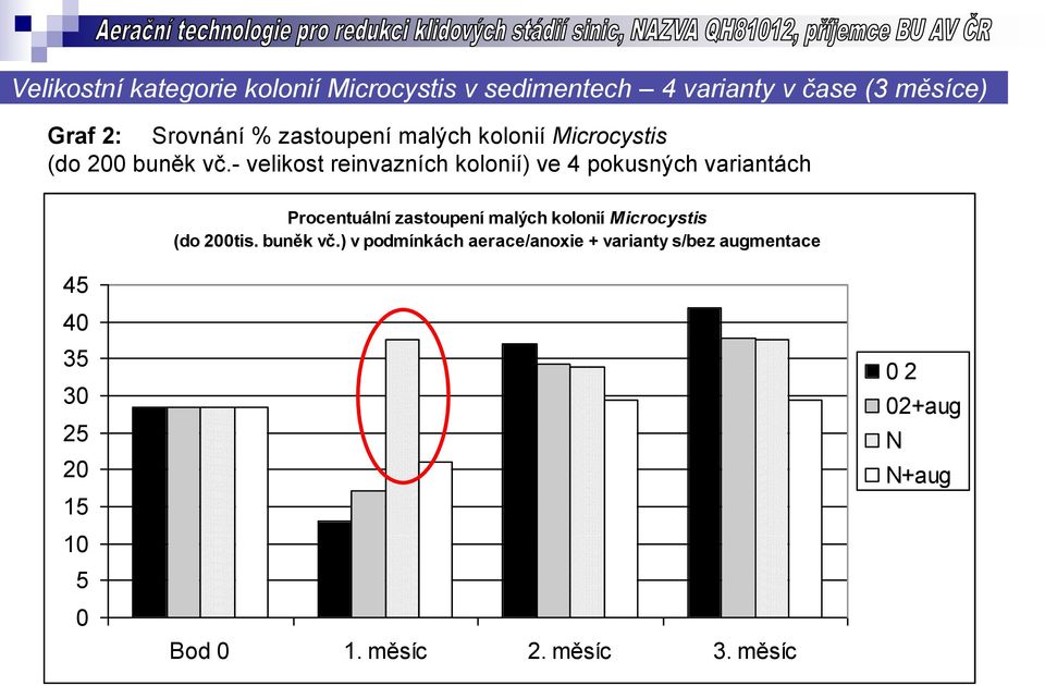 - velikost reinvazních kolonií) ve 4 pokusných variantách Procentuální zastoupení malých kolonií