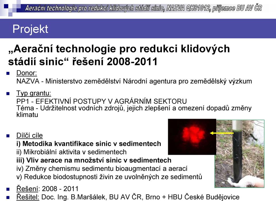 Metodika kvantifikace sinic v sedimentech ii) Mikrobiální aktivita v sedimentech iii) Vliv aerace na množství sinic v sedimentech iv) Změny chemismu sedimentu