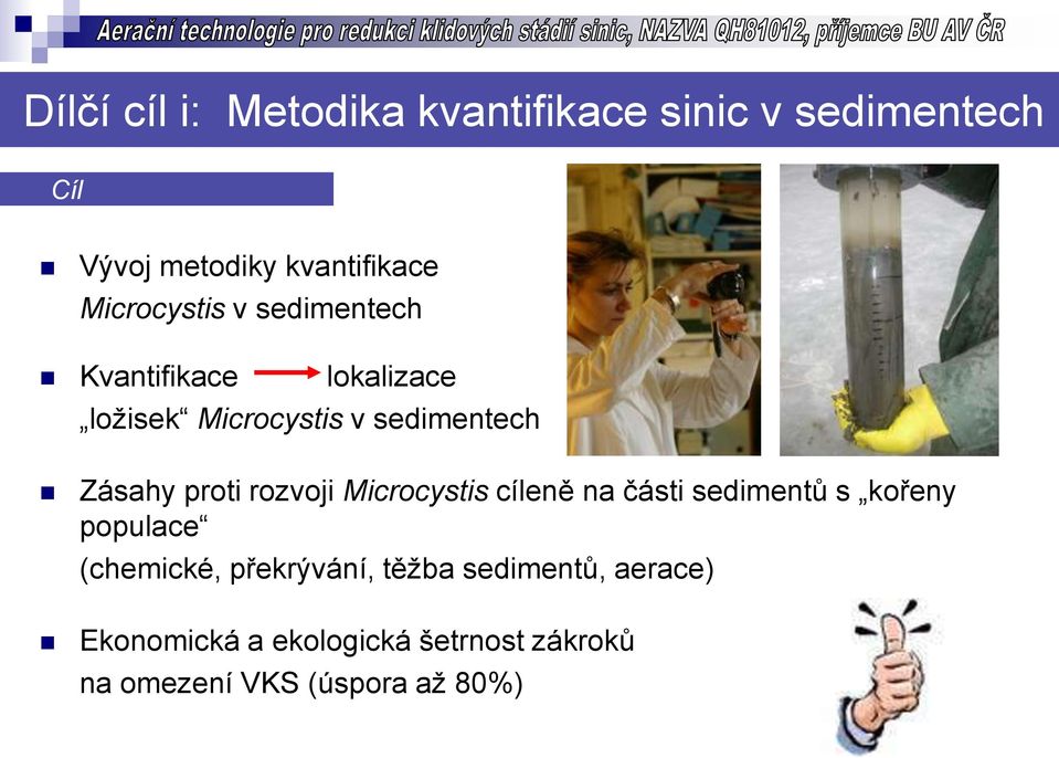 proti rozvoji Microcystis cíleně na části sedimentů s kořeny populace (chemické,