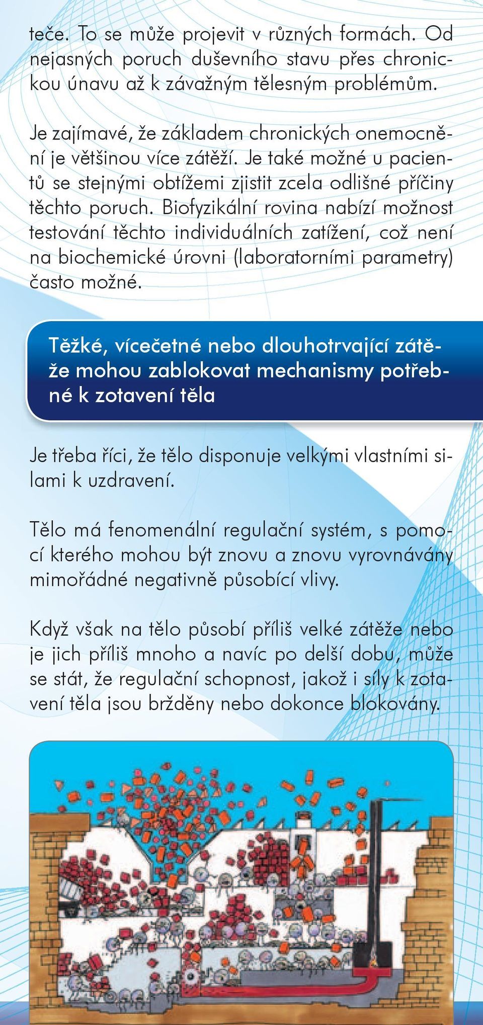 Biofyzikální rovina nabízí možnost testování těchto individuálních zatížení, což není na biochemické úrovni (laboratorními parametry) často možné.