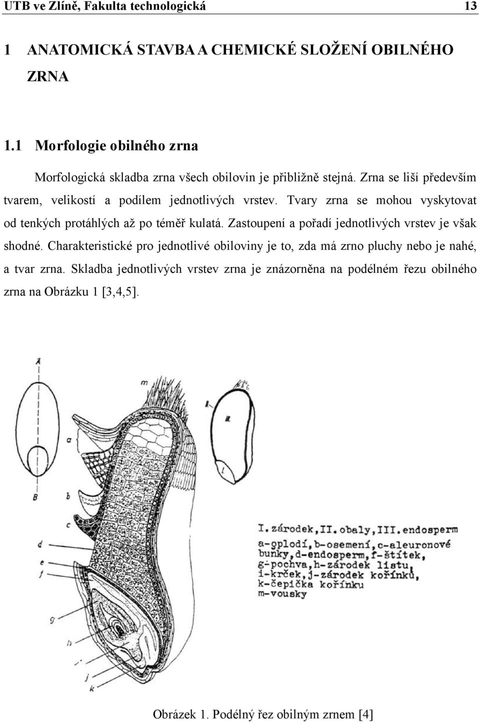 Zastoupení a pořadí jednotlivých vrstev je však shodné.